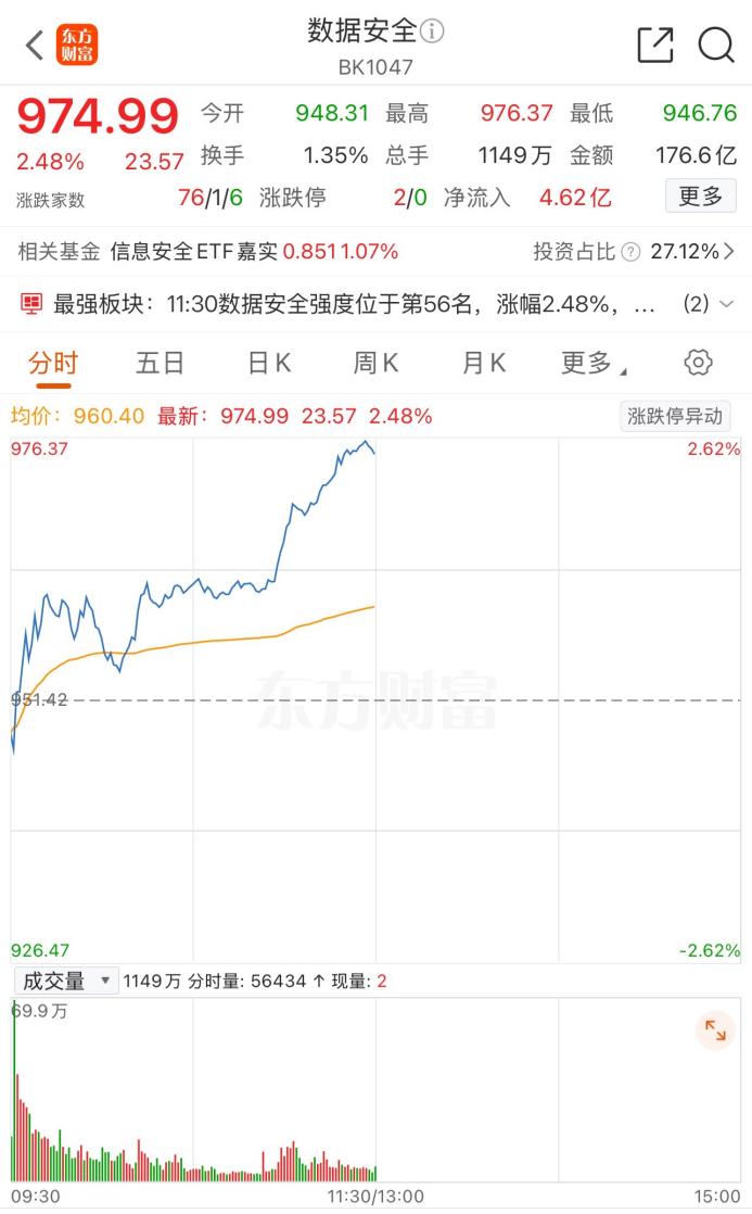 文档图片