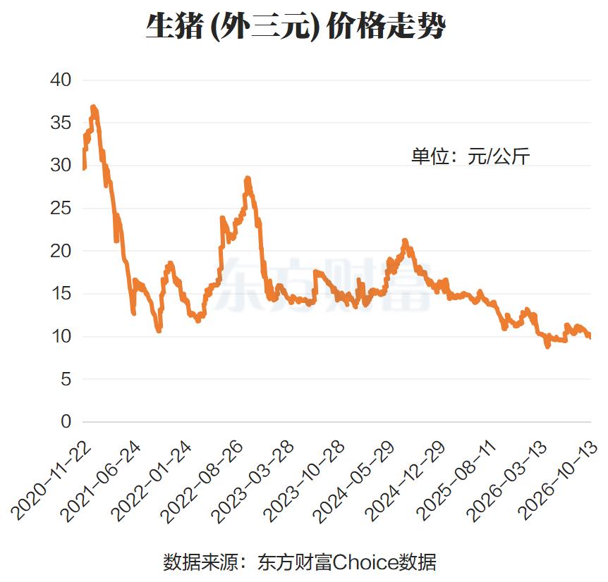 文档图片