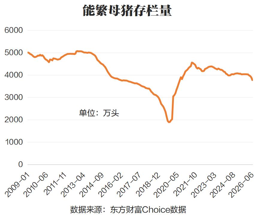 文档图片