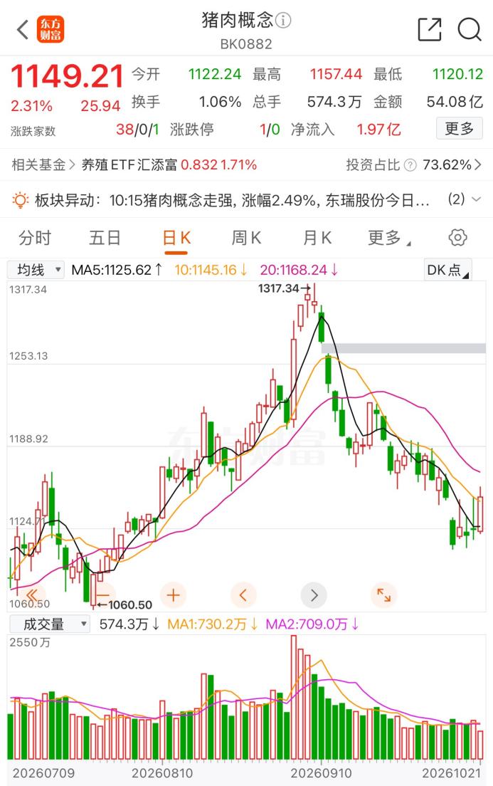 文档图片