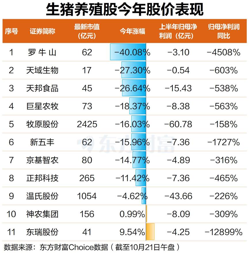 文档图片