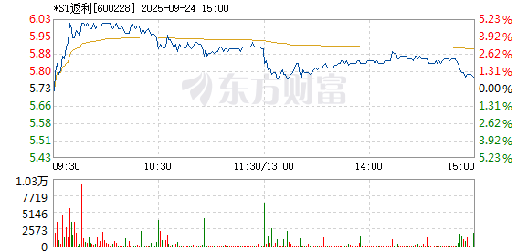 R图 600228_1