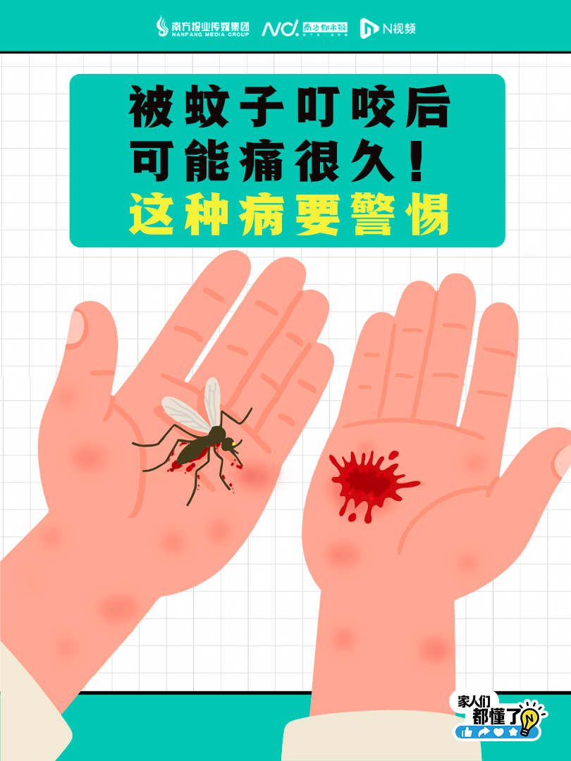 810x1080_688339f5d7472.png?X-Amz-Content