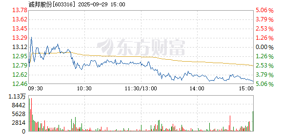 R图 603316_1
