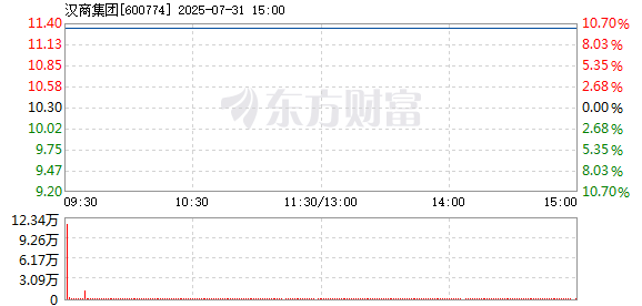 R图 600774_1