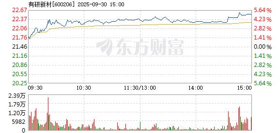 R图 600206_1