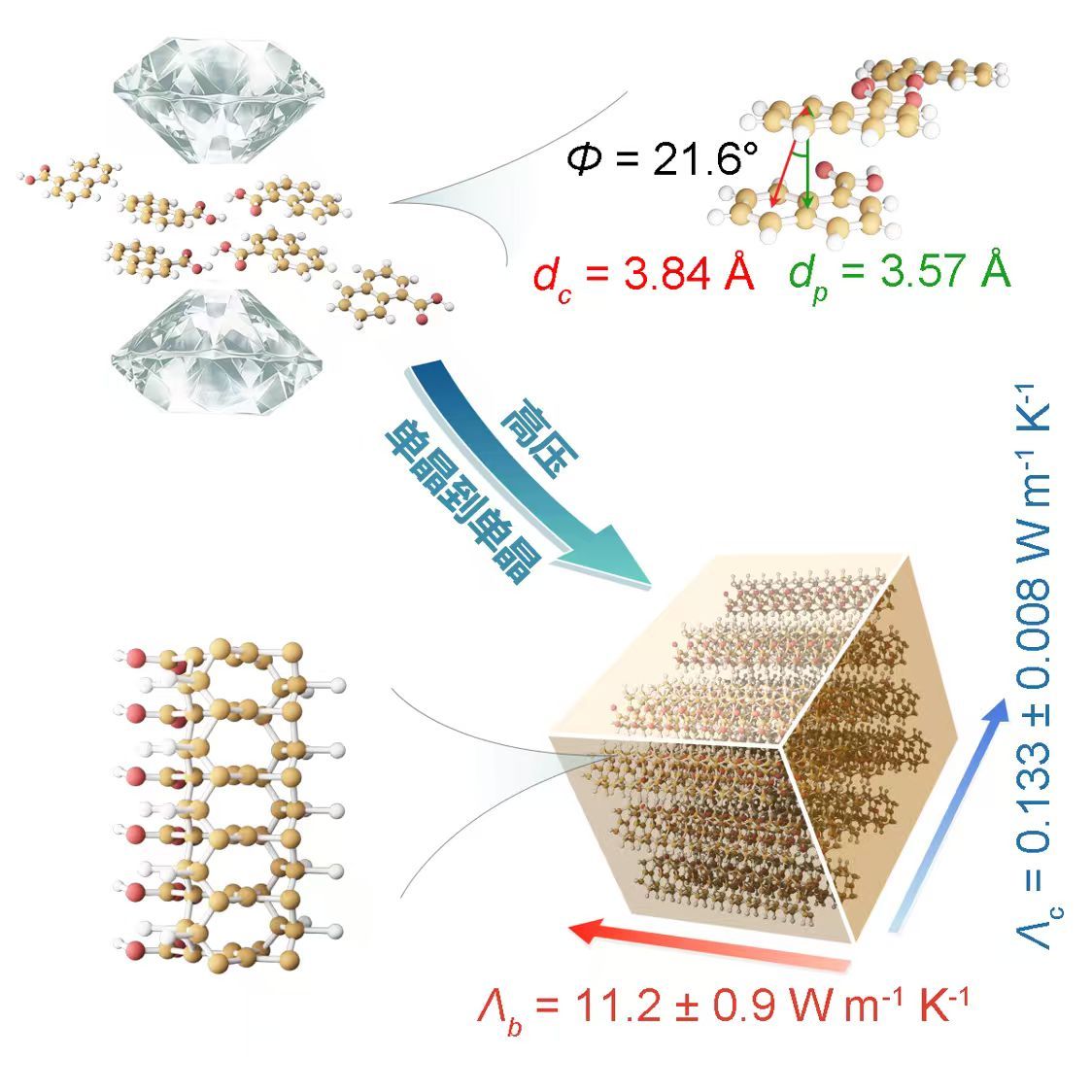 图为高各向异性热导率1-萘酸单晶碳纳米线的合成。受访者供图