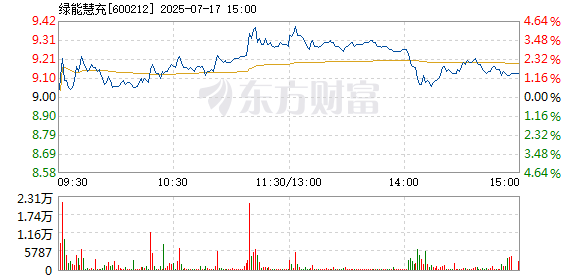 R图 600212_1