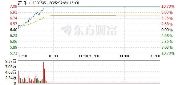 R图 000735_2