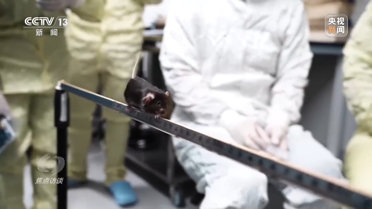 87c83d84-2b75-4abe-a472-6ccb26f57e37.jpe