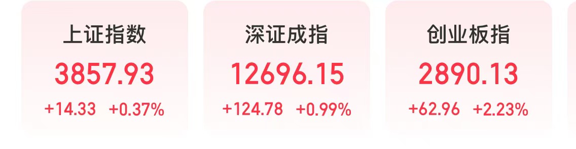 8291.jpg