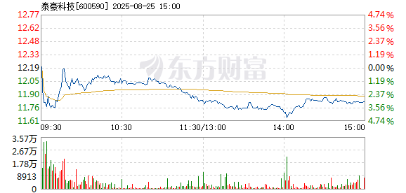 R图 600590_1