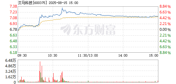 R图 600375_1