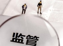 信息发布不准确、不完整 风险提示不充分！双良节能及有关责任人被上交所警示