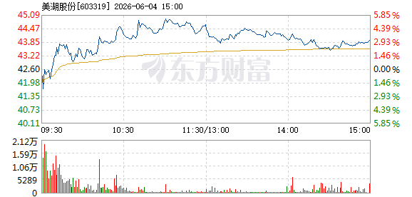 R图 603319_1