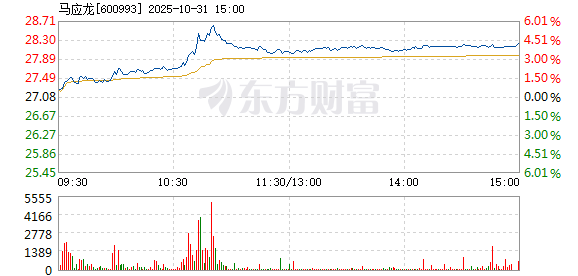 R图 600993_1