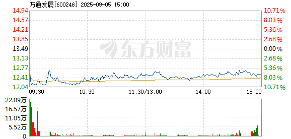 R图 600246_1