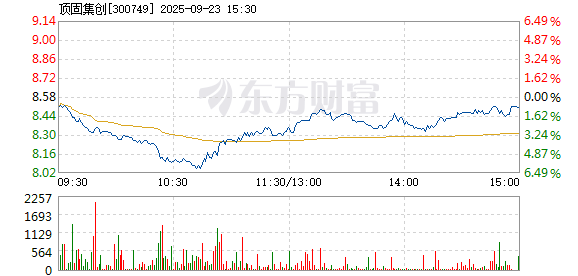 R图 300749_2