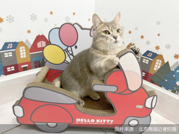 图片来源：北京商报记者拍摄