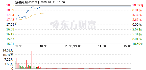 R图 600392_1