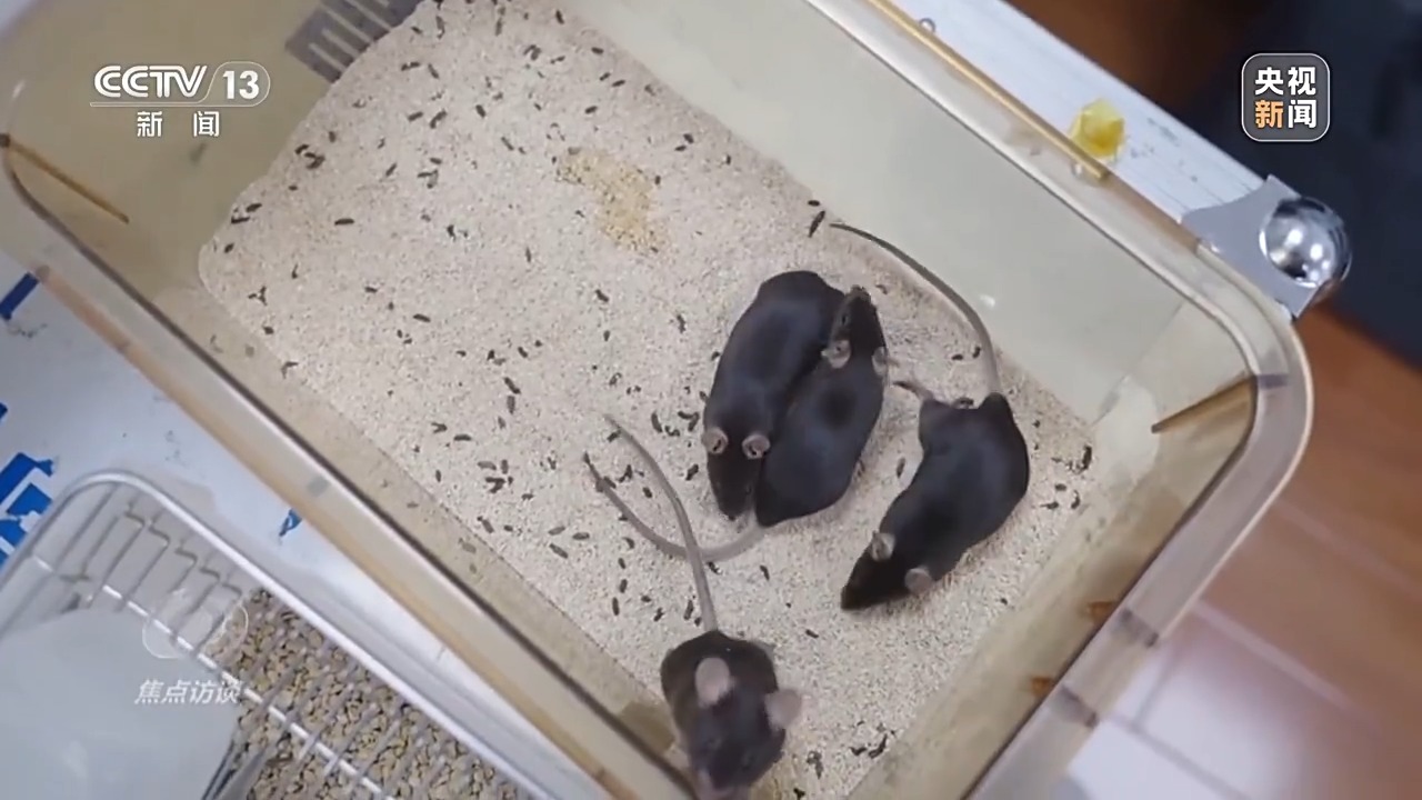 bf603c2f-5244-4093-8611-7b86f569e467.jpe