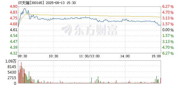 R图 300165_2