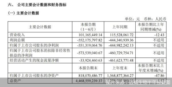图片来源:迈威生物半年报截图