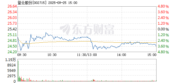 R图 002715_2