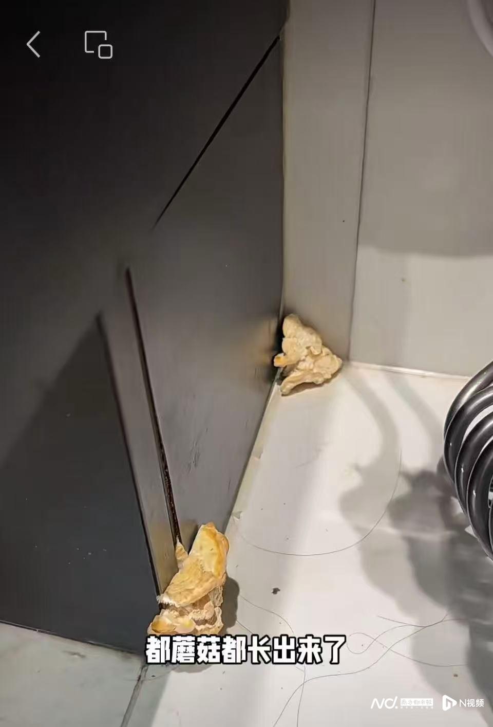 960x1414_695cccf826e44.jpg?X-Amz-Content