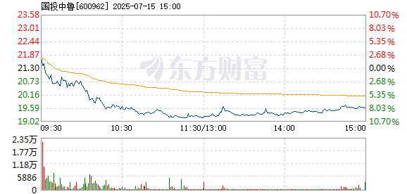 R图 600962_1