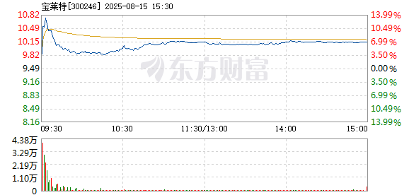 R图 300246_2