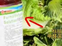 “甲醛白菜”屡禁不止：十余年间被多次曝光 甲醛为何仍未纳入蔬菜常规检测？