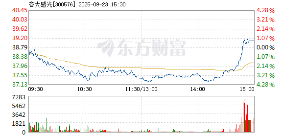 R图 300576_2