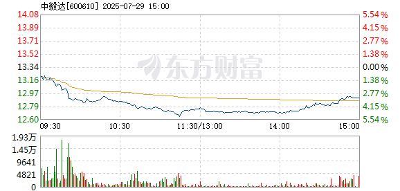 R图 600610_1
