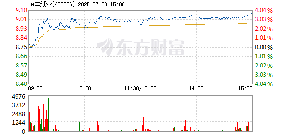 R图 600356_1