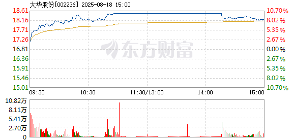R图 002236_2