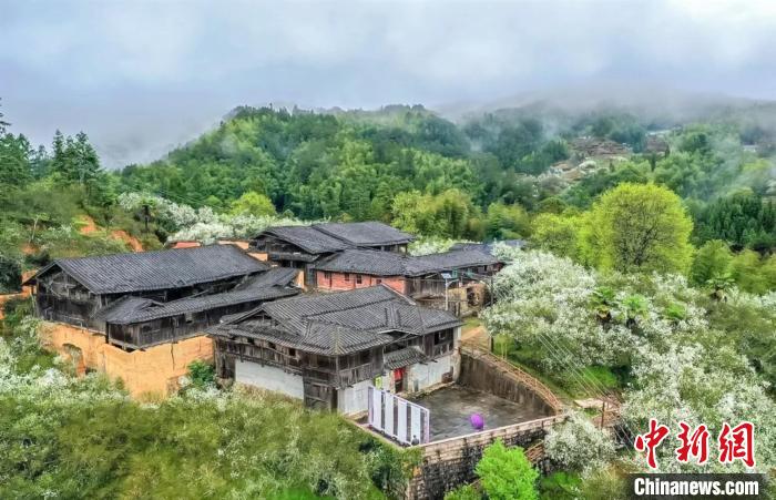 乡约福建闽侯廷坪枳壳花开乡村旅游引客来