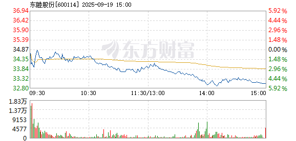 R图 600114_1