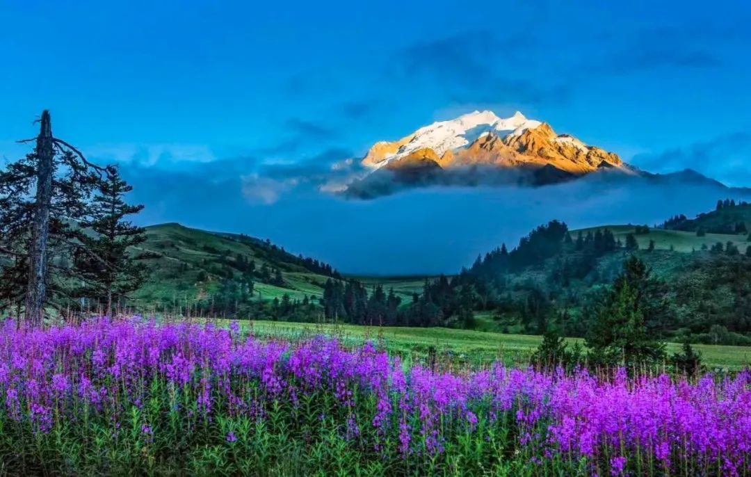 天府新视界|阿勒泰在清单里,天府之国在眼前
