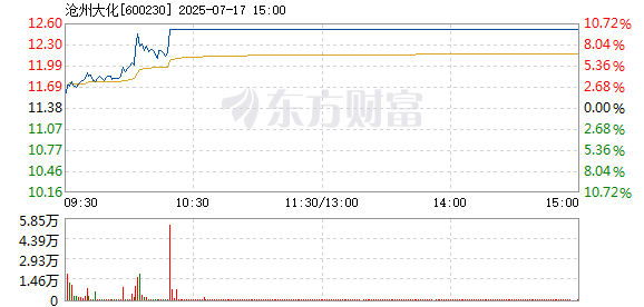 R图 600230_1
