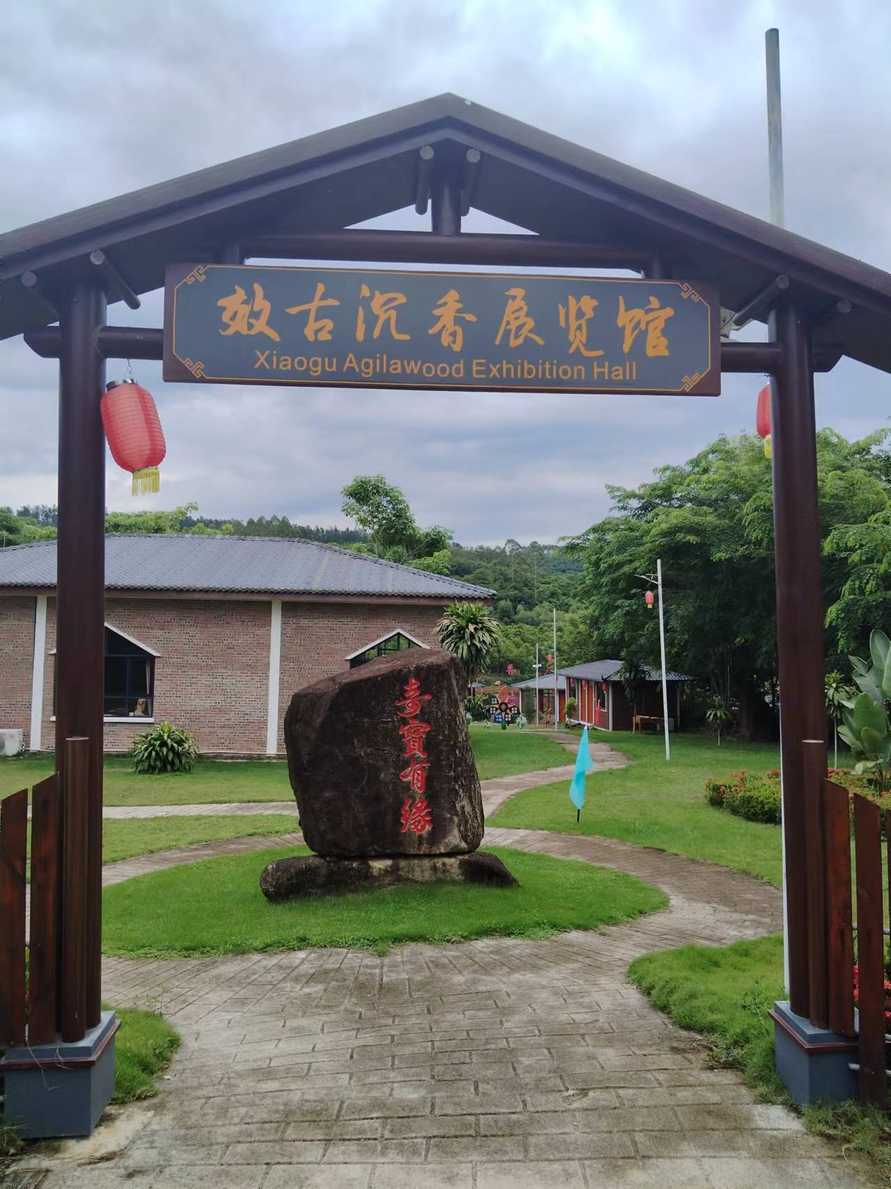 新华指数|澄迈沉香产业发展正当时,乡村振兴驶入"快车道"