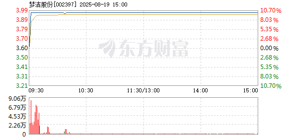 R图 002397_2