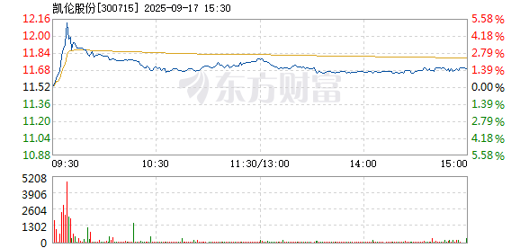 R图 300715_2