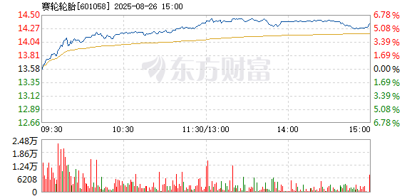 R图 601058_1