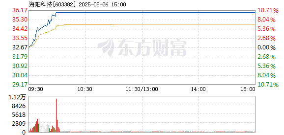 R图 603382_1