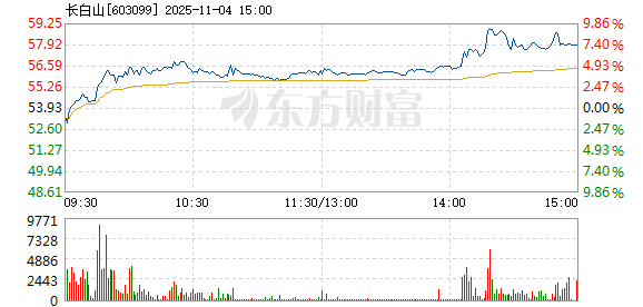 R图 603099_1