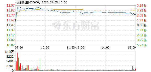 R图 600668_1
