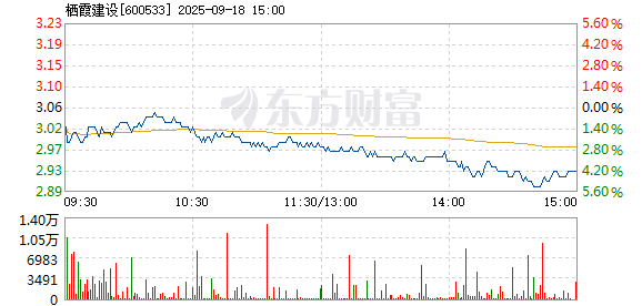 R图 600533_1