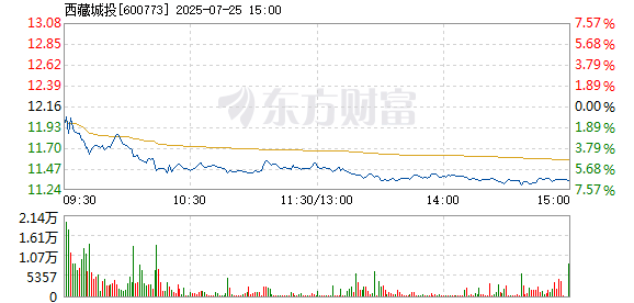 R图 600773_1