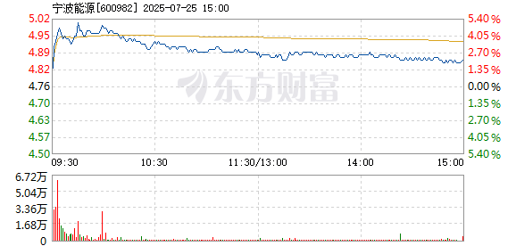 R图 600982_1